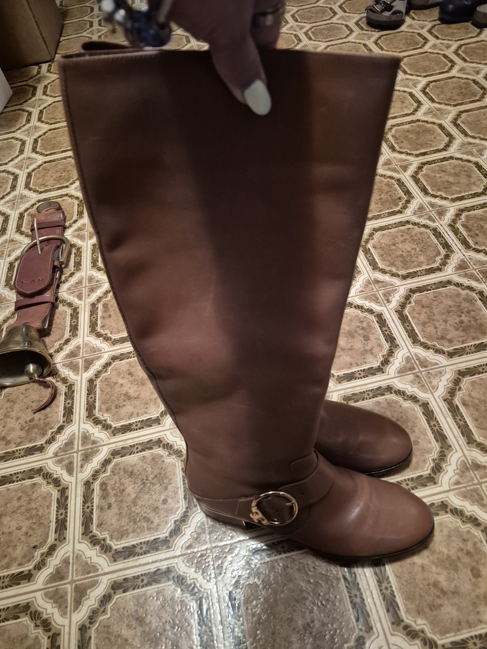 Tory Burch sofia Women's Tall Brown Riding Boots with Buckle Detail